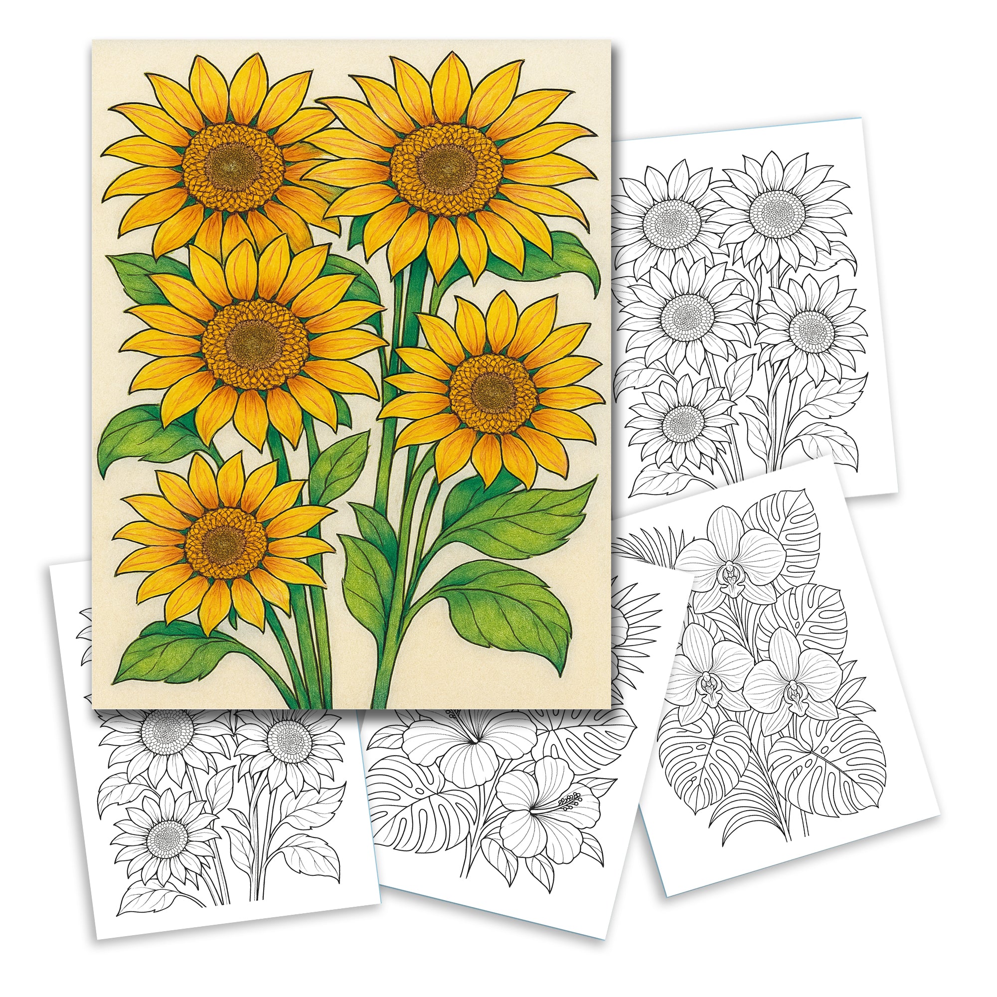 Bright Sunflower Garden Coloring Pages – 48 Cheerful Designs for Adults