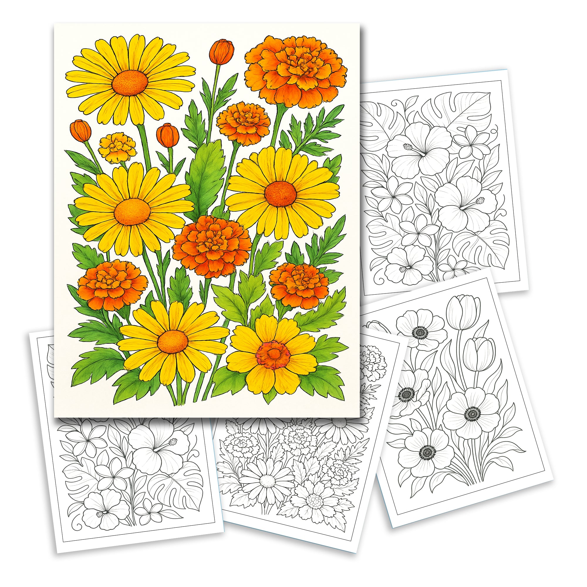 Sunshine Garden Flowers Coloring Pages – 48 Cheerful Floral Designs