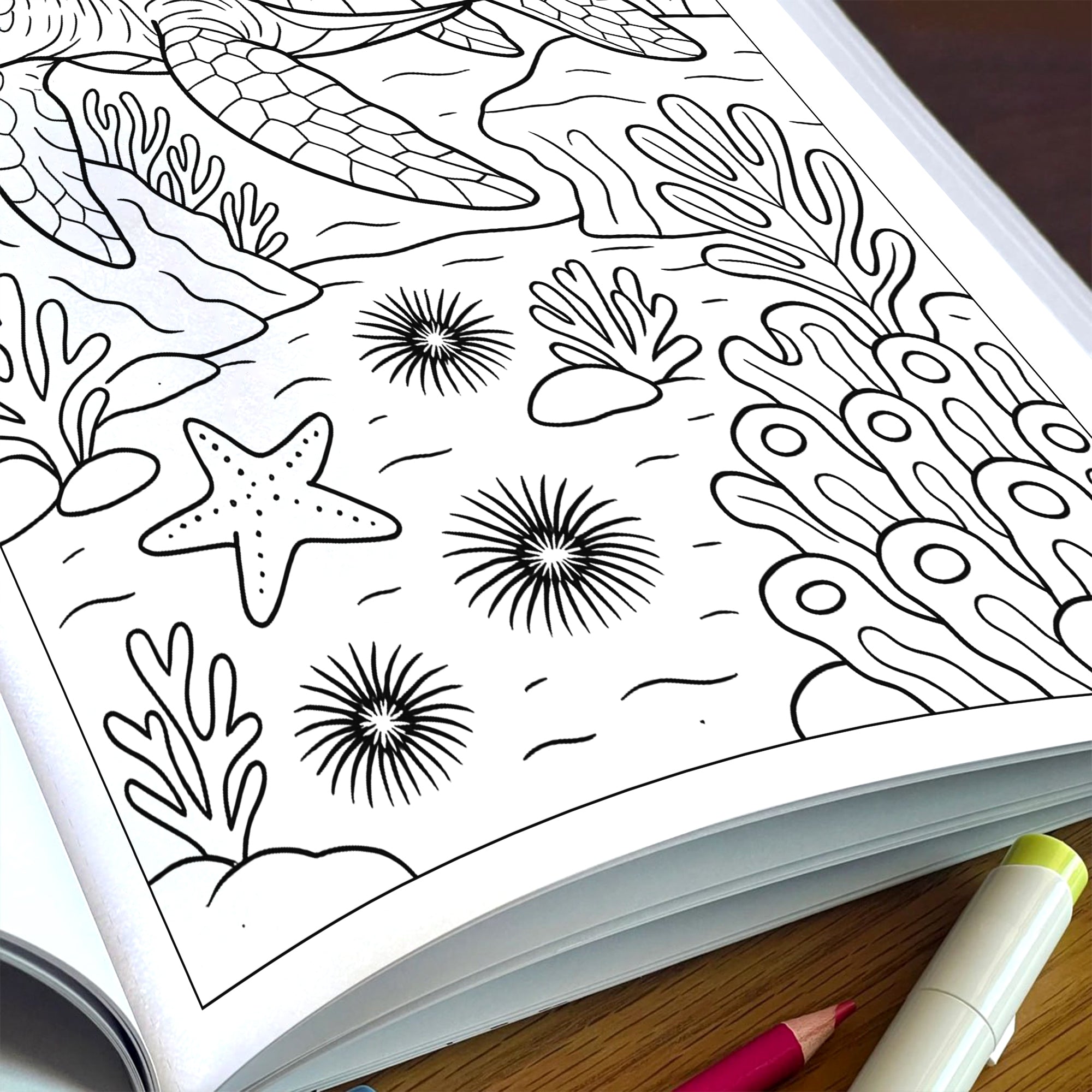 Hawaii Sea Life Journeys Coloring Pages – 48 Tropical Ocean Animal Designs - For Kids