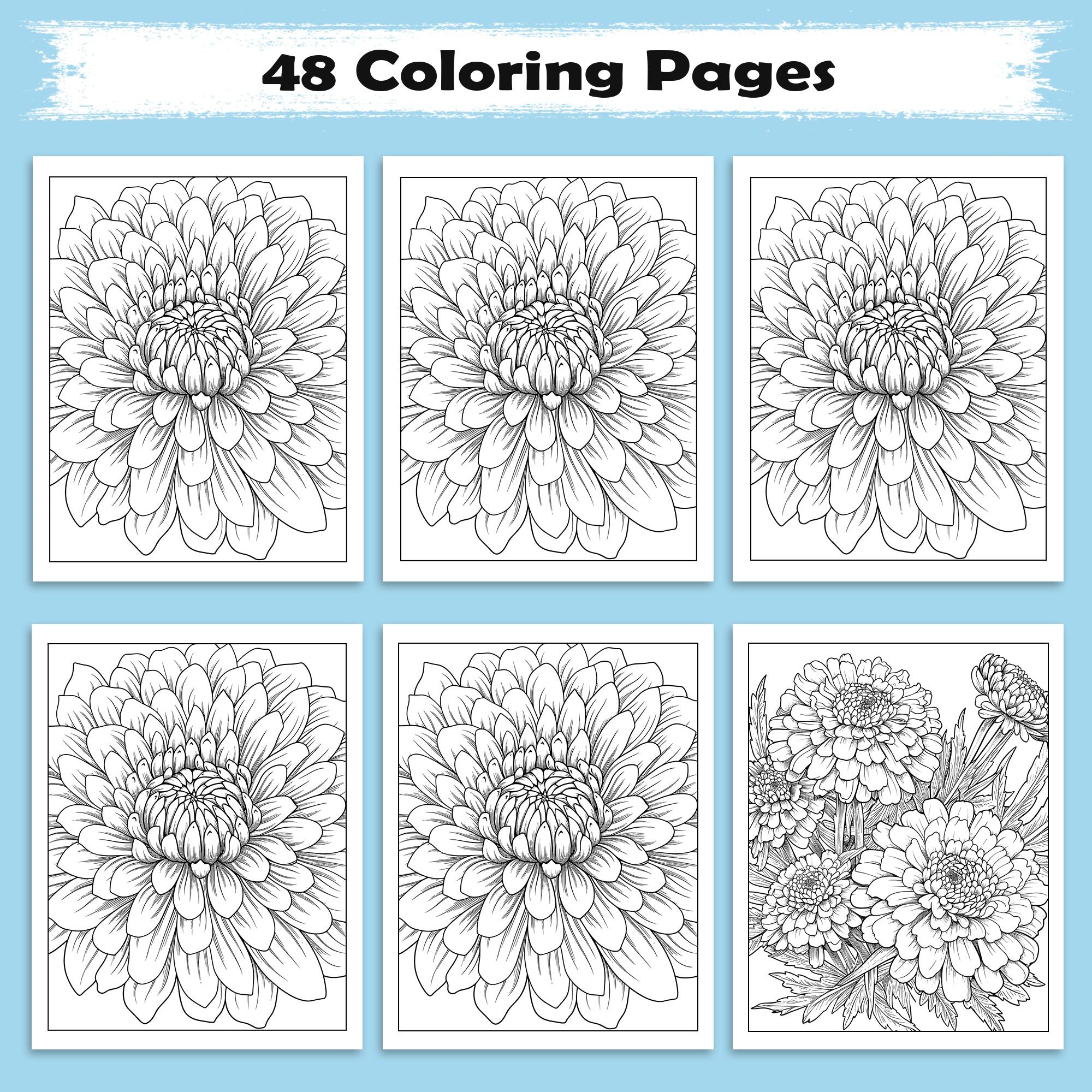 Chrysanthemum Charm Coloring Pages – 48 Pages – Beautiful Flower Art, Intricate Petals – For Adults