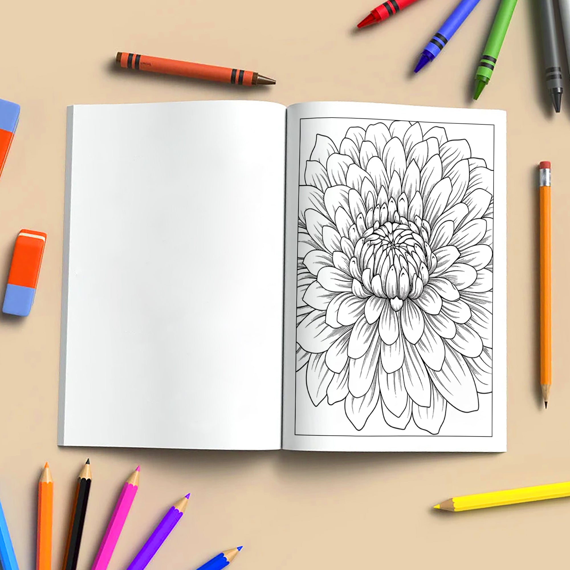Chrysanthemum Charm Coloring Pages – 48 Pages – Beautiful Flower Art, Intricate Petals – For Adults