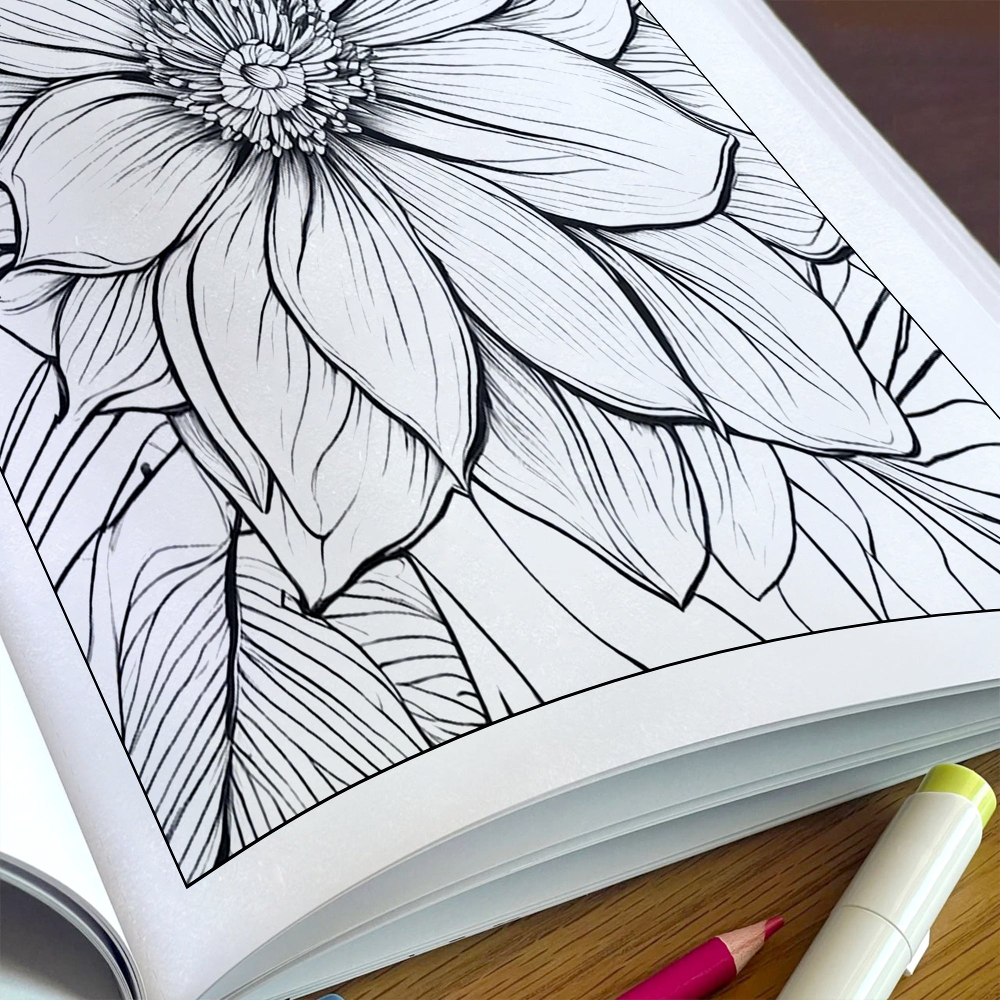 Botanical Bloom Mandala Coloring Pages – 48 Elegant Floral Designs for Adults