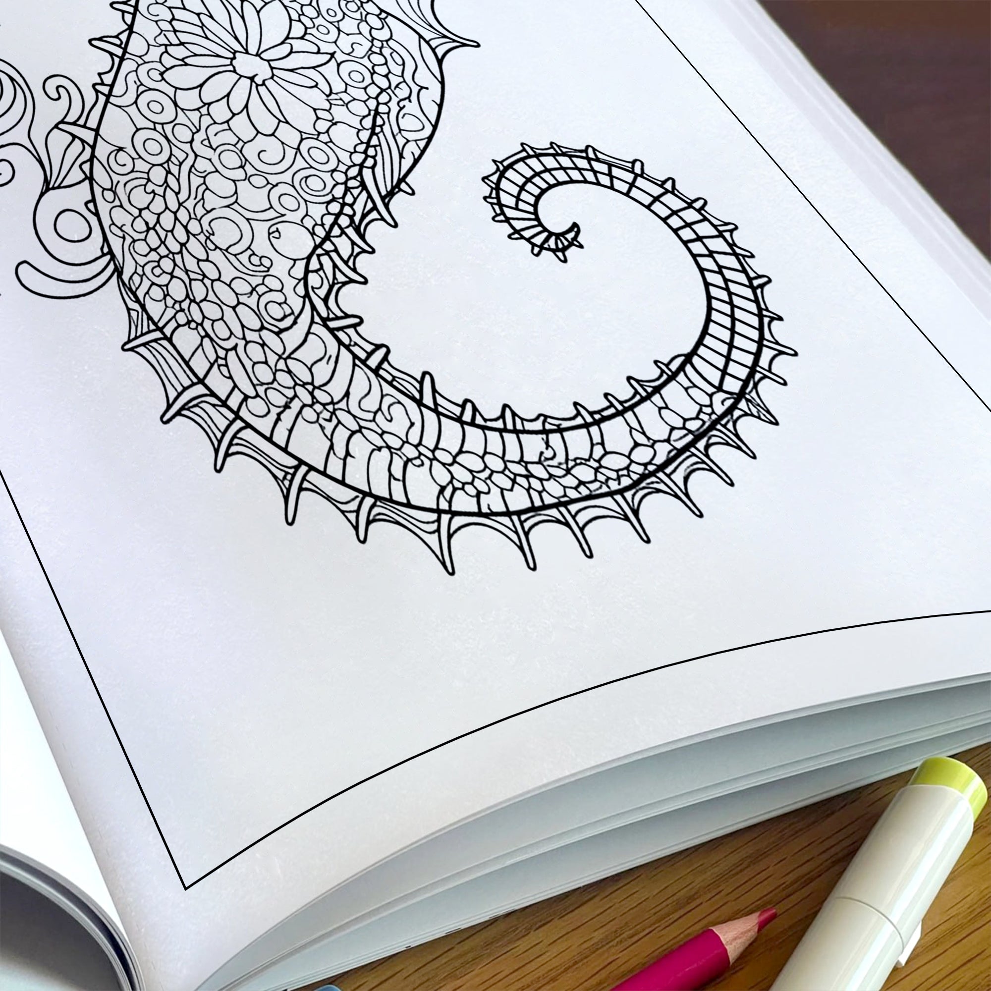 Endless Summer Mandalas Coloring Pages – 48 Relaxing Tropical Designs for Adults