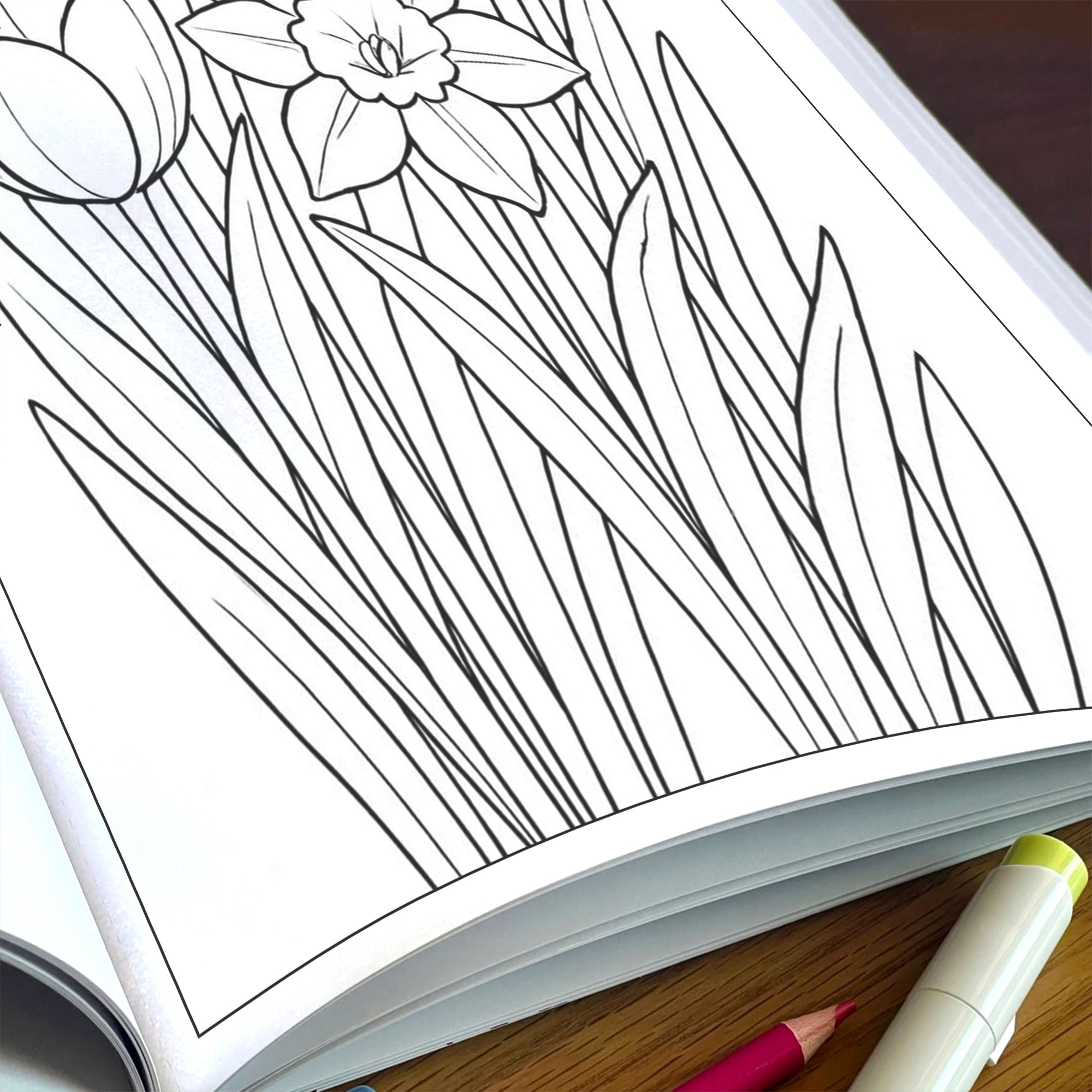 Elegant Flower Garden – Flower Coloring Pages – 48 Pages – Botanical, Calm, Relaxing Designs – For Adults