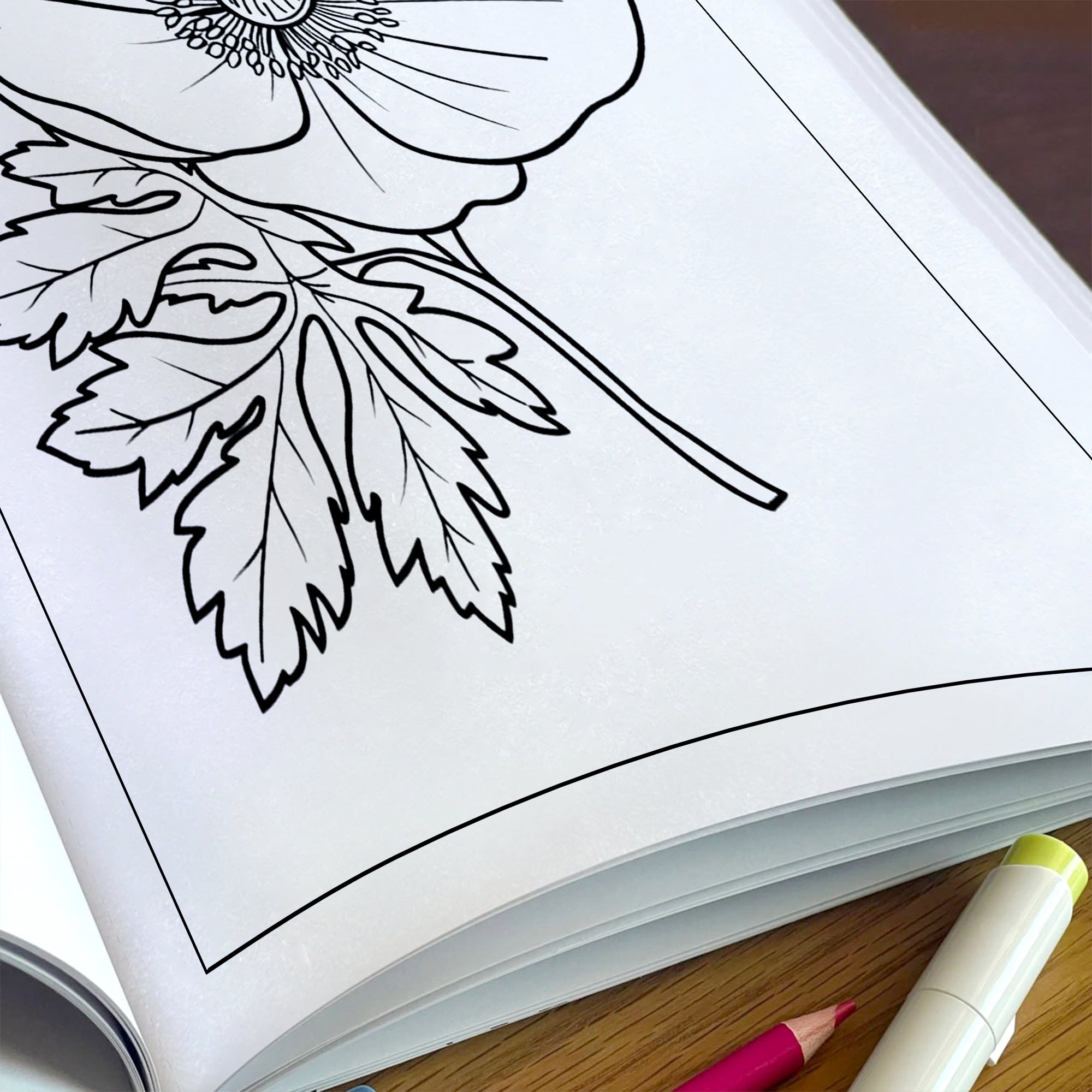 Petal Grace Coloring Pages – 48 Pages – Minimalist Flowers, Clean Line Art – For Adults