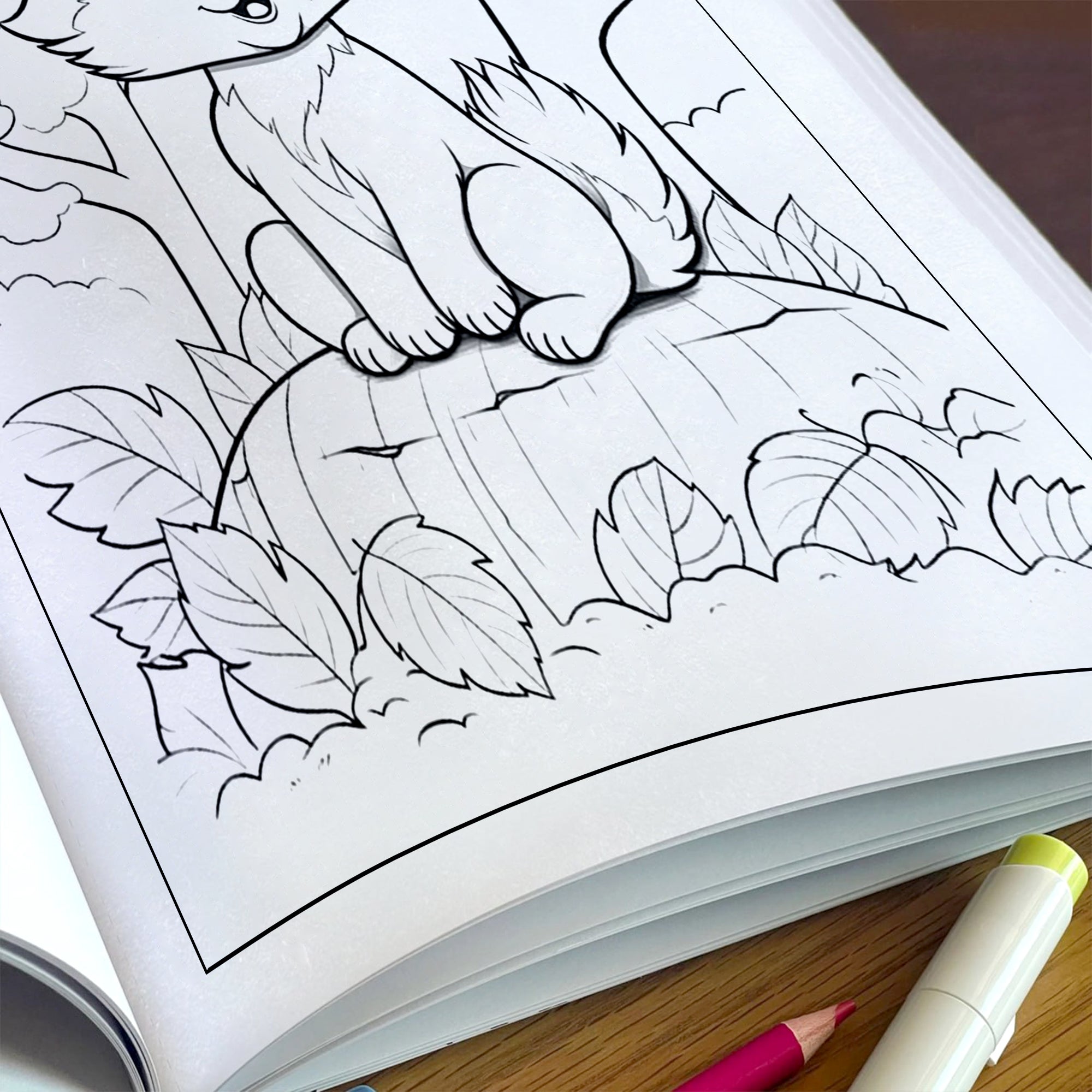 Woodland Wonders Coloring Pages – 48 Pages – Fun Autumn Designs – For Kids