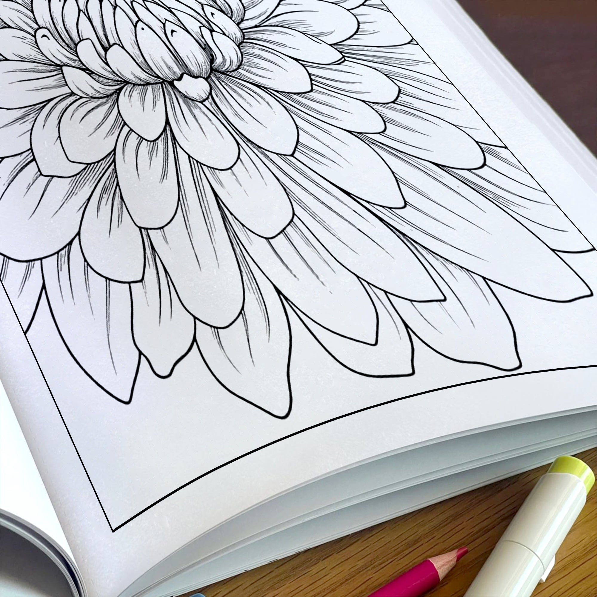 Chrysanthemum Charm Coloring Pages – 48 Pages – Beautiful Flower Art, Intricate Petals – For Adults
