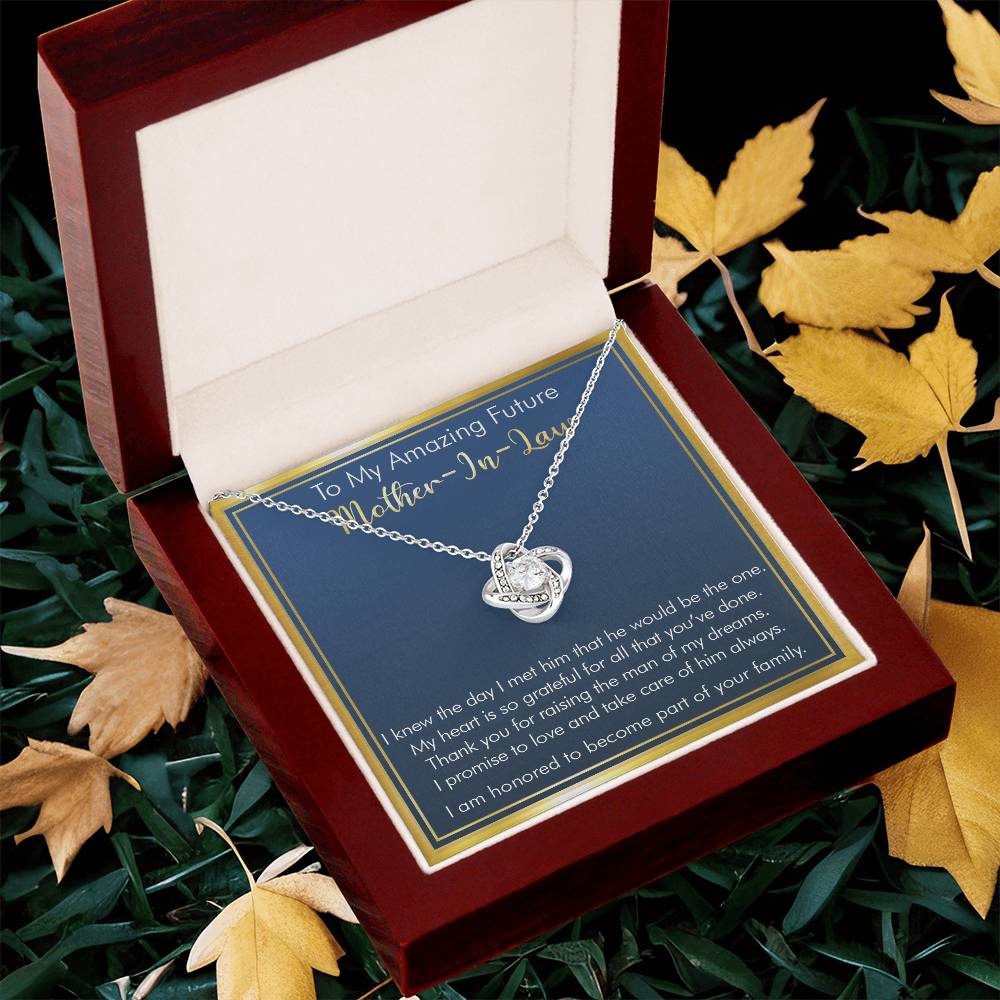 Gift For Future Mother-In-Law - Part Of Your Family - Love Knot Love Knot Necklace