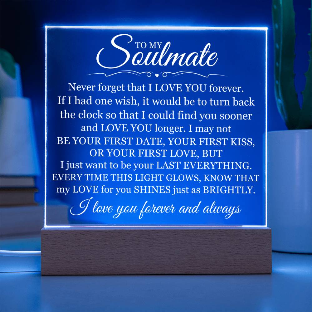 Gift For Soulmate - Never Forget That I Love You - Acrylic Plaque
