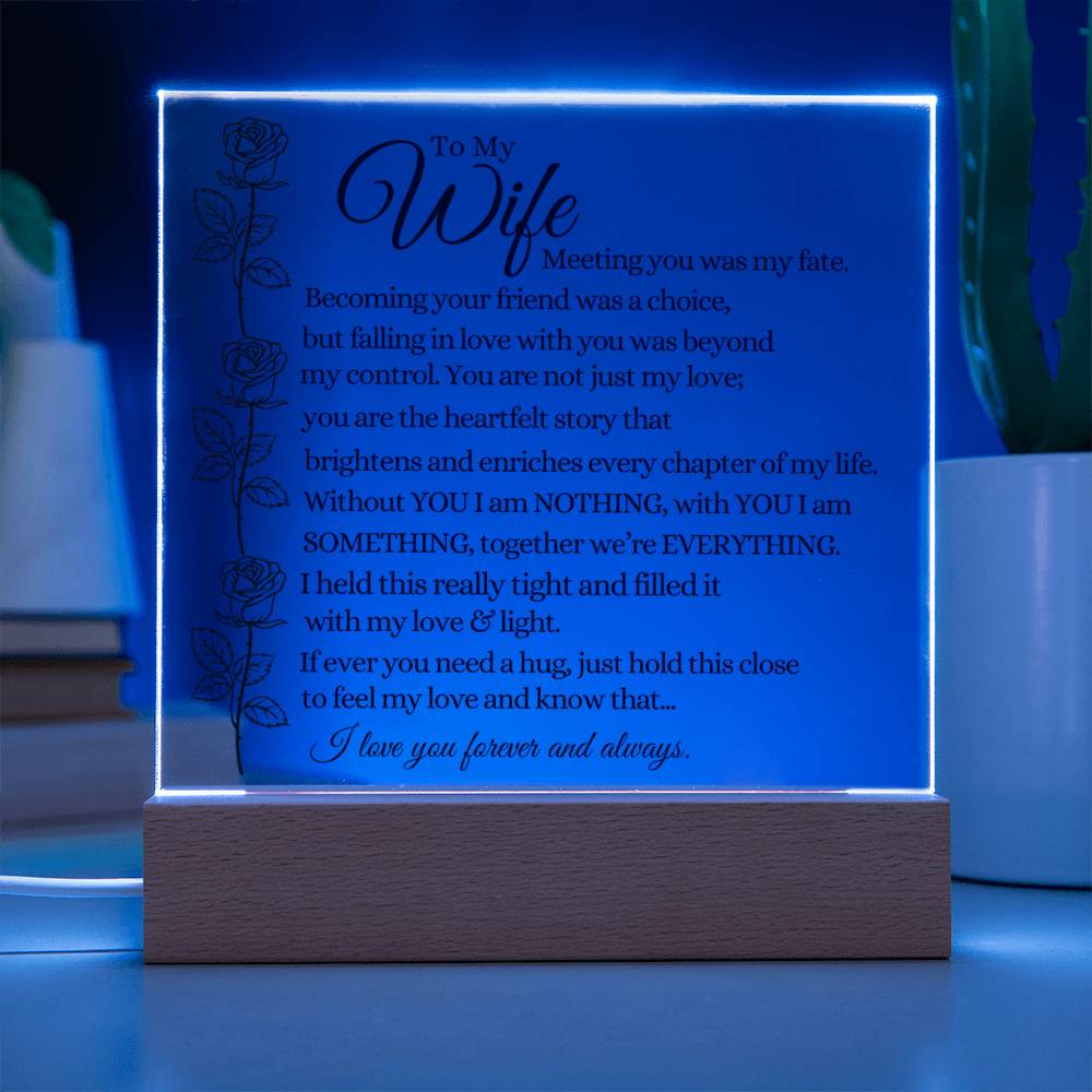 To My Wife - We're Everything - Acrylic Square Plaque