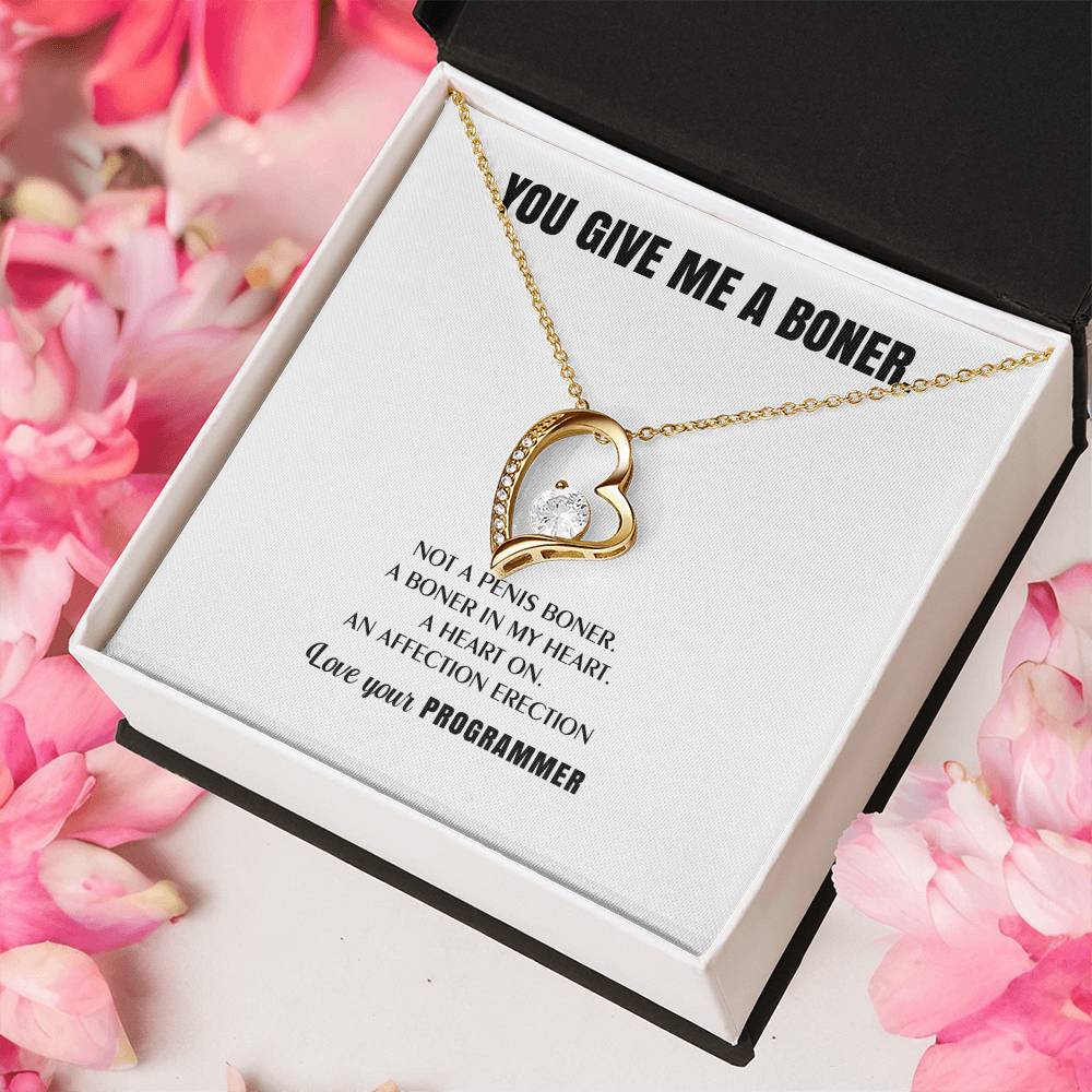 You Give Me A Heart Boner An Affection Erection Funny & Sarcastic Love For Her ♥ Mature Best Funny Gag Gifts For Programmer Wife On Special Days Forever Love Necklace
