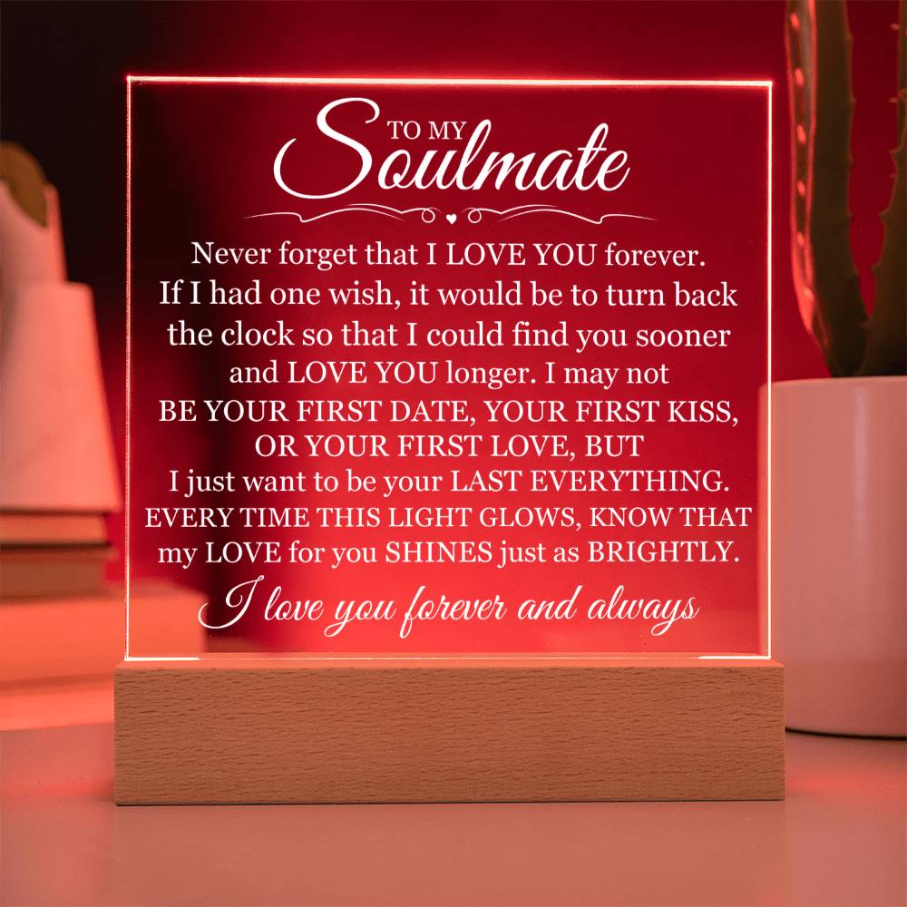 Gift For Soulmate - Never Forget That I Love You - Acrylic Plaque