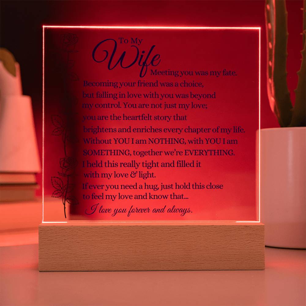 To My Wife - We're Everything - Acrylic Square Plaque