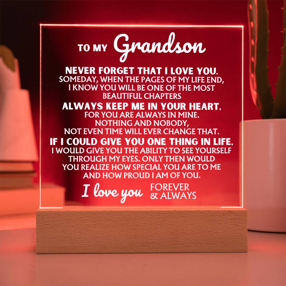 To My Grandson - How Special Your Are To Me - Acrylic Square Plaque
